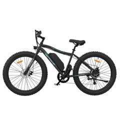 Aostirmotor Commuting and Hunting Ebike S07-P