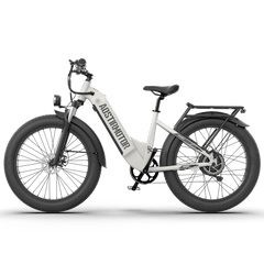 Aostirmotor 52V All-terrain Electric Bike Queen