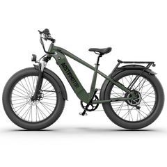 Aostirmotor 52V All-terrain Electric Bike King