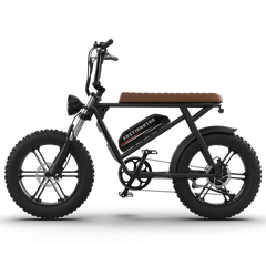 Aostirmotor Super Cool New Model Electric Bike Storm