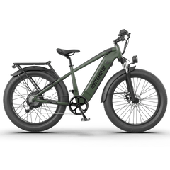 Aostirmotor 52V All-terrain Electric Bike King