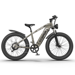 Aostirmotor Off-road Electric Bike Hero