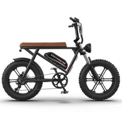 Aostirmotor Super Cool New Model Electric Bike Storm