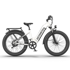 Aostirmotor 52V All-terrain Electric Bike Queen