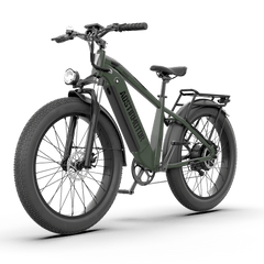 Aostirmotor 52V All-terrain Electric Bike King