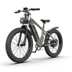 Aostirmotor Off-road Electric Bike Hero