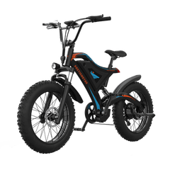 Aostirmotor 500W Versatile EBike S18-MINI