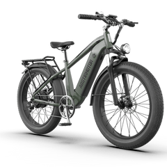 Aostirmotor 52V All-terrain Electric Bike King