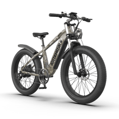 Aostirmotor Off-road Electric Bike Hero