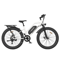 Aostirmotor Commuter Step Thru Electric Bike S07-G