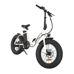 Aostirmotor 500W Low Step Fat Tire G20