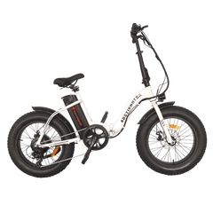 Aostirmotor 500W Low Step Fat Tire G20