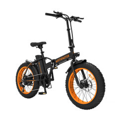 Aostirmotor Fat Tire Folding Electric Bike A20