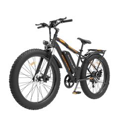 Aostirmotor 750W Electric Mountain Bike S07