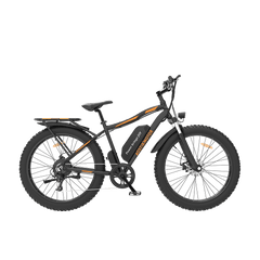 Aostirmotor 750W Electric Mountain Bike S07