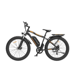 Aostirmotor 750W Electric Mountain Bike S07