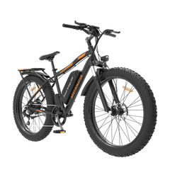 Aostirmotor 750W Electric Mountain Bike S07